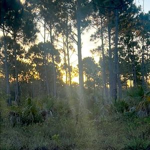 Meet your Posher, Bernute